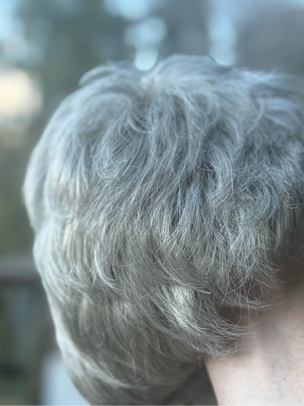 Paula Young Sara Wig Gray Silver Short Layered Synthetic Wig Open Box Unworn